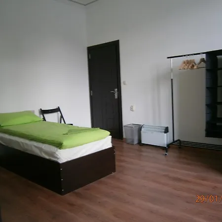 Rose Butterfly Sofía