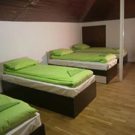 Rose Butterfly Sofia