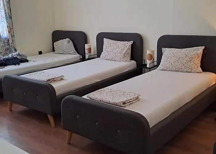 호스텔 Rose Butterfly 소피아