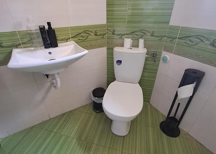 Rose Butterfly 소피아