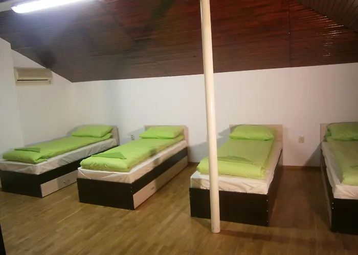 Rose Butterfly * 소피아