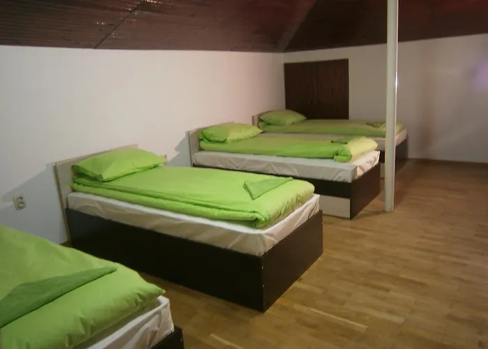 Rose Butterfly Σόφια